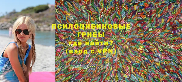 мет Карпинск