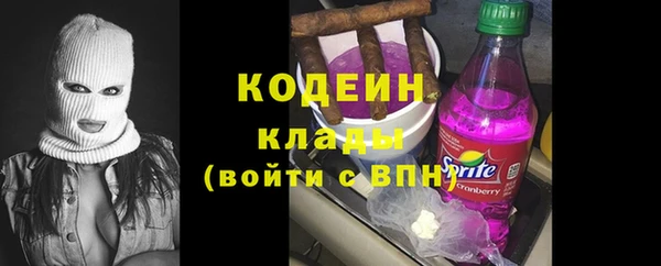 мет Карпинск