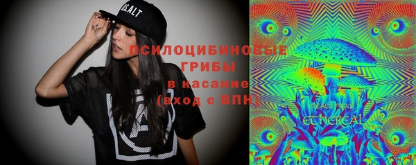 мет Карпинск