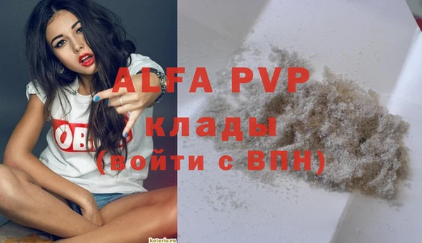 гидра Касимов